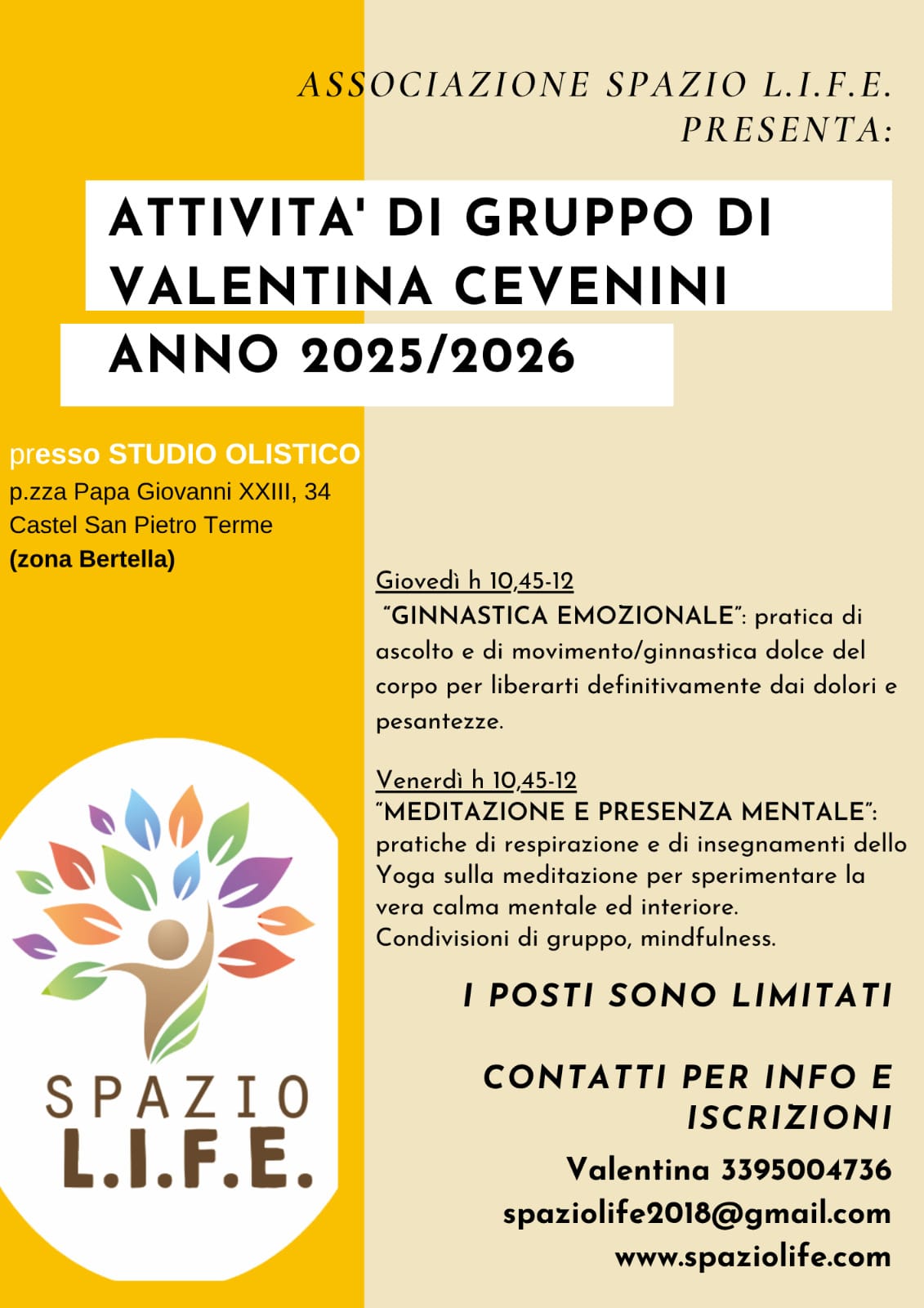 ATTIVITA' DI GRUPPO DI VALENTINA CEVENINI